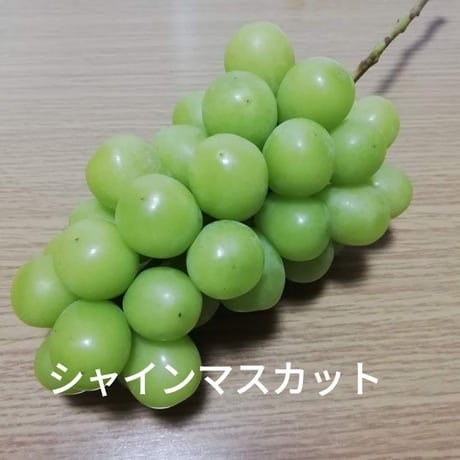 【シャインマスカット】　2024年販売終了