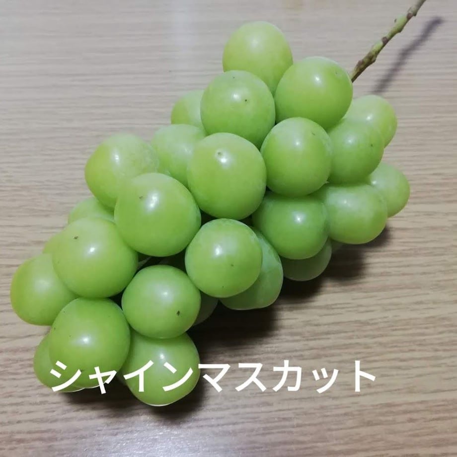 62e9e41bd8893735530b6e09