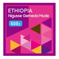 “500g” エチオピア ニグセ・ゲメダ・ムデ ナチュラル (中煎り)