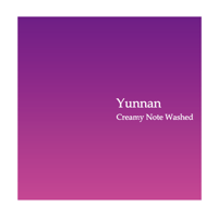 “500g” CHINA YUNNAN Creamy Note Washed (浅煎り)