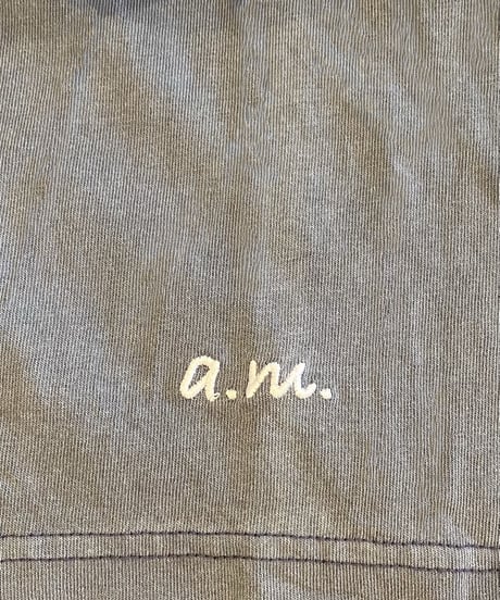 a.m. vintage oversized T-shirt (blue)