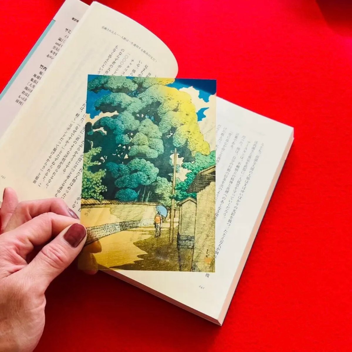 【中古】 蜃気楼の見える場所 詩集/ひまわり書房/溝口由利子 Amazon.co.jp: 蜃気楼の見える場所: 詩集 : 溝口 由利子: 本