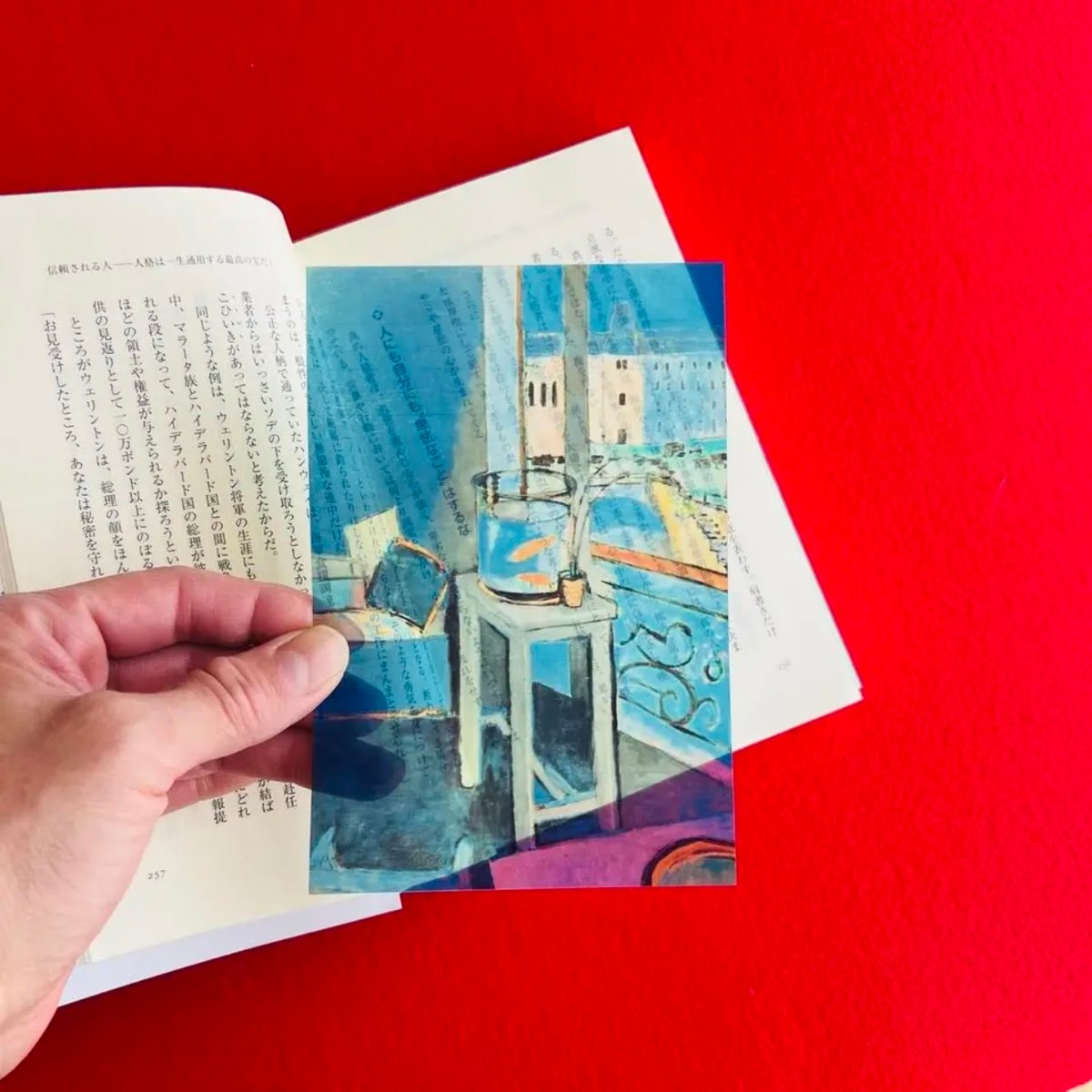 2025年最新】Yahoo!オークション -アンリマティス 金魚の中古品・新品