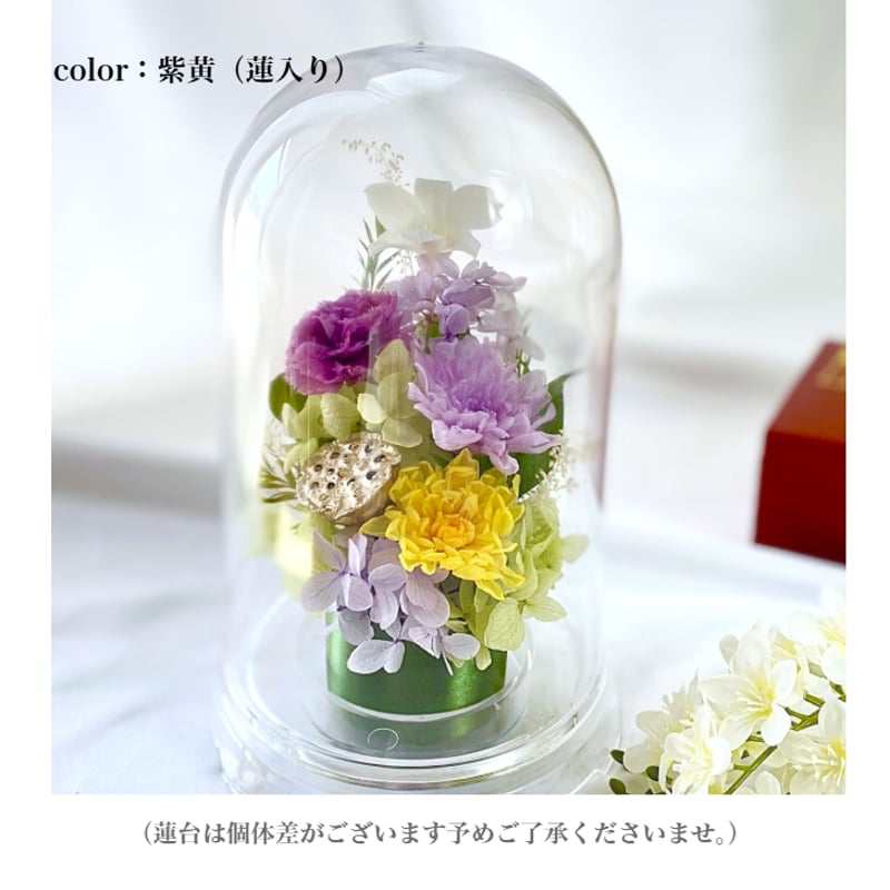 盆花 プリザーブドフラワーお供え花ドーム 初盆 蓮入り 新仏・初七日