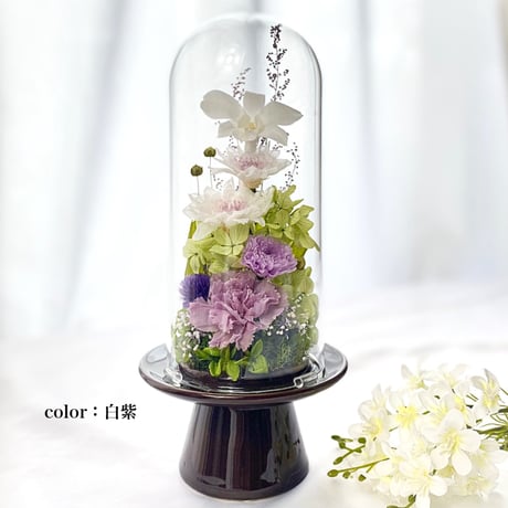プリザーブドフラワーお供え花ガラスドーム　清蘭~想香そうか~ 御供 新仏 四十九日 命日 法事 法要 回忌 お彼岸 新盆 旧盆  初盆 和菊