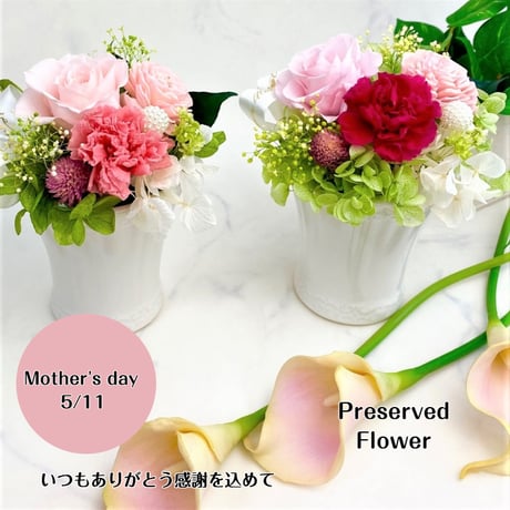 母の日 カーネーション プリザーブドフラワー  記念日 お誕生日 入学祝い 卒業祝い 就職祝い 結婚出産お祝い 開店 開業 インテリア 母の日  敬老の日 感謝 お礼 petitギフト