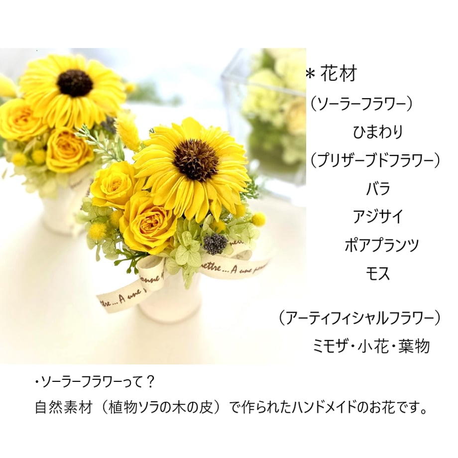 6476ebd777bc66002e4d8ba2