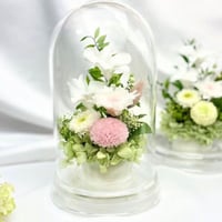 プリザーブドフラワーお供え花ドーム 仏花　灯香とうか～白桃 新仏・初七日・四十九日・法要・新盆・旧盆・法事・初盆・お彼岸・初彼岸