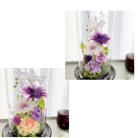 プリザーブドフラワーお供え花ガラスドーム　清蘭~菫すみれ~ 御供 新仏 四十九日 命日 法事 法要 回忌 お彼岸 新盆 旧盆  初盆 和菊