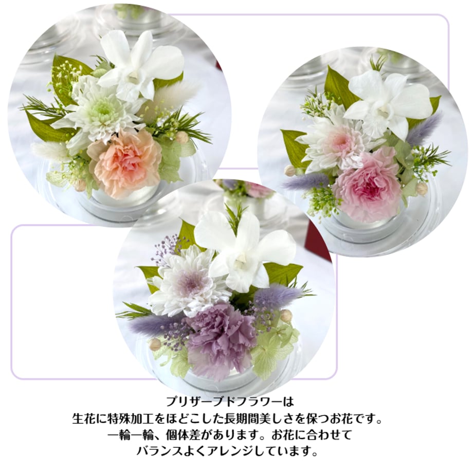 68e8c83baf1f4a0047c820b0