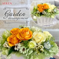 プリザーブドフラワー　プレシオーソorange【送料無料】【クリアケース付き】記念日 お誕生日 結婚出産お祝い 開店 開業 インテリア 母の日 敬老の日