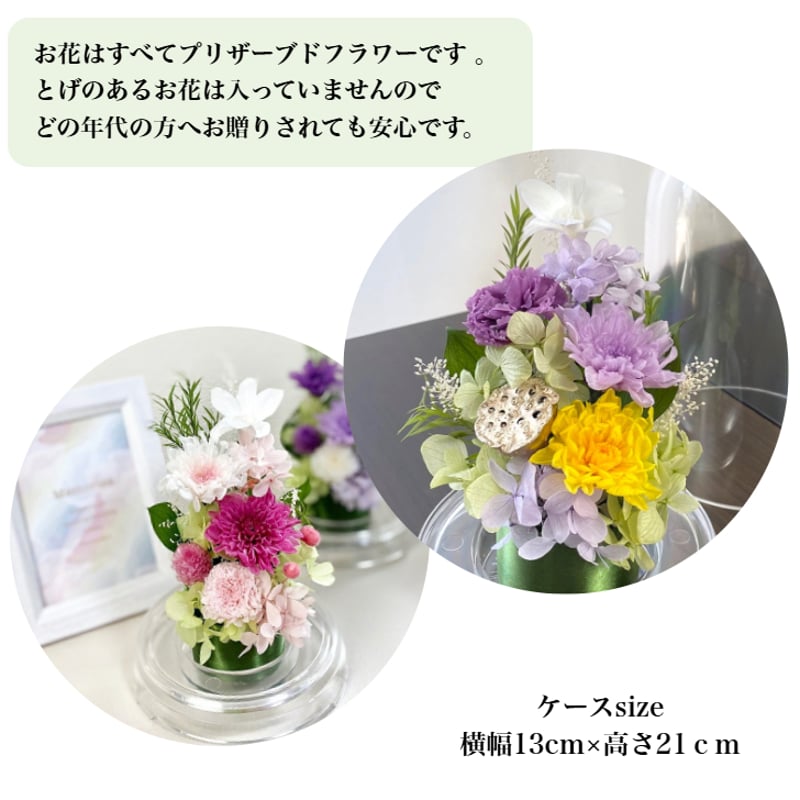 盆花 プリザーブドフラワーお供え花ドーム 初盆 蓮入り 新仏・初七日