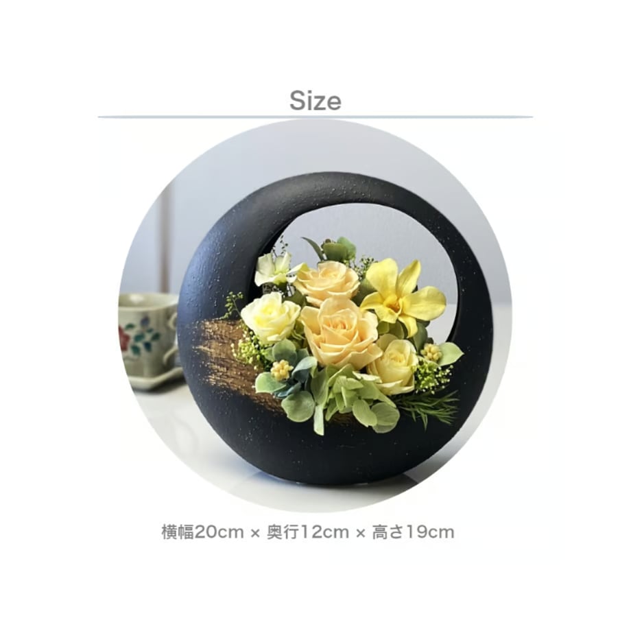 66c55606db24c403270d2edc