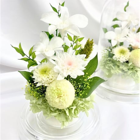 プリザーブドフラワーお供え花ドーム仏花　灯香とうか～白緑 新仏・初七日・四十九日・法要・新盆・旧盆・法事・初盆・お彼岸・初彼岸