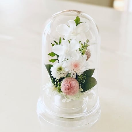 プリザーブドフラワーお供え花ドーム 仏花　灯香とうか～白桃 新仏・初七日・四十九日・法要・新盆・旧盆・法事・初盆・お彼岸・初彼岸