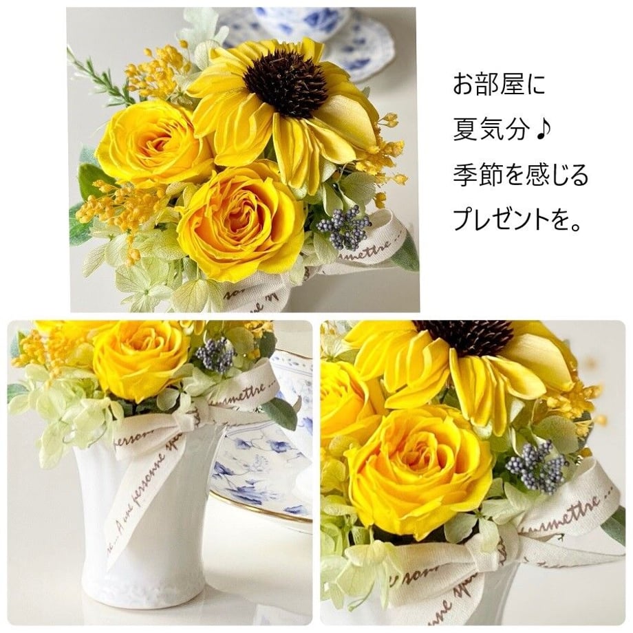 6476ebd777bc66002e4d8ba2