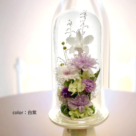 プリザーブドフラワーお供え花ガラスドーム　清蘭~優ゆう～初盆 御供 新仏 四十九日 命日 法事 法要 回忌 お彼岸 新盆 旧盆  初盆 和菊