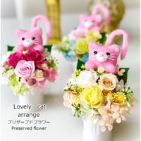 プリザーブドフラワー お誕生日 プレゼント  女友達 退職 定年 結婚 出産 敬老の日 発表会 感謝 お礼 お見舞い ペット ネコ  福猫