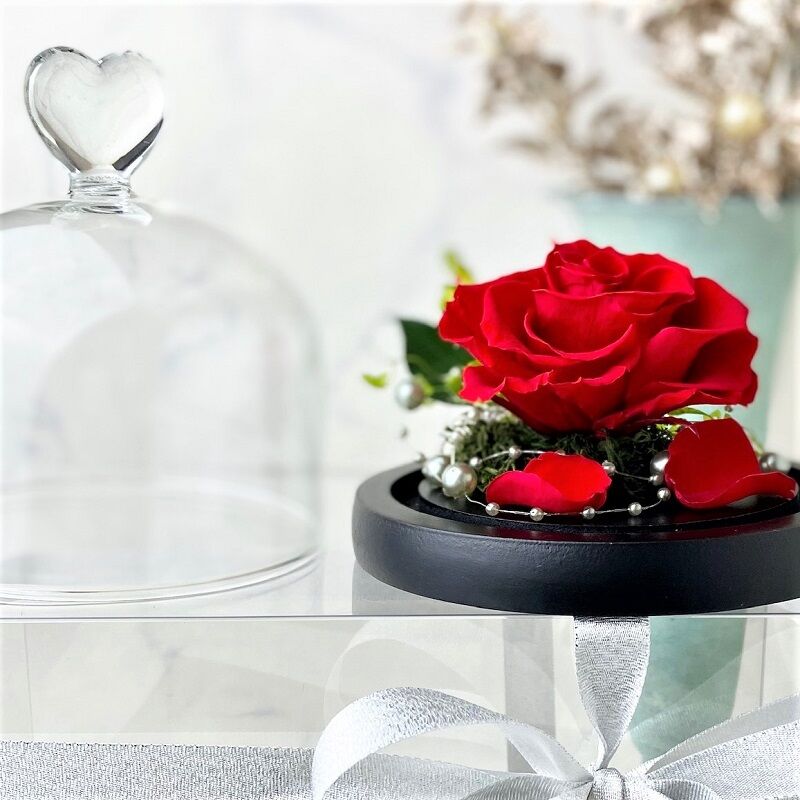 プリザーブドフラワー ガラスドームha-to一凛 pearl 記念日 お誕生日