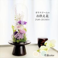 プリザーブドフラワーお供え花ガラスドーム　清蘭~菫すみれ~ 御供 新仏 四十九日 命日 法事 法要 回忌 お彼岸 新盆 旧盆  初盆 和菊