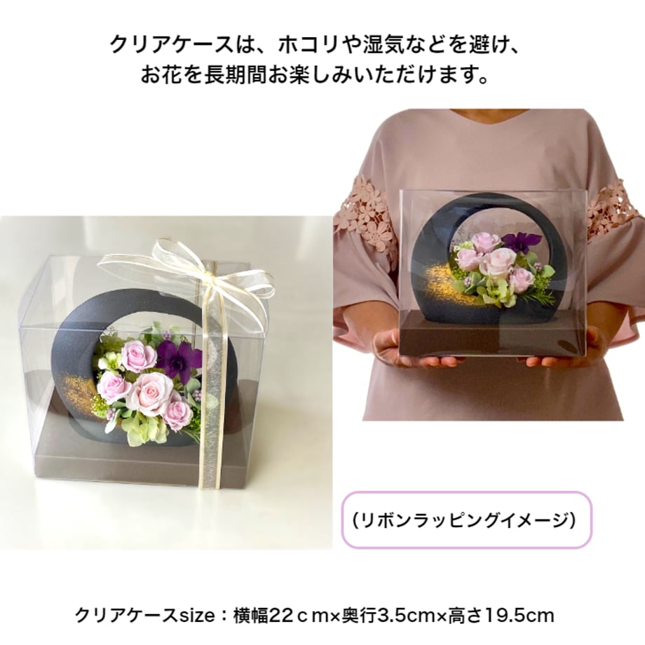 66c55606db24c403270d2edc