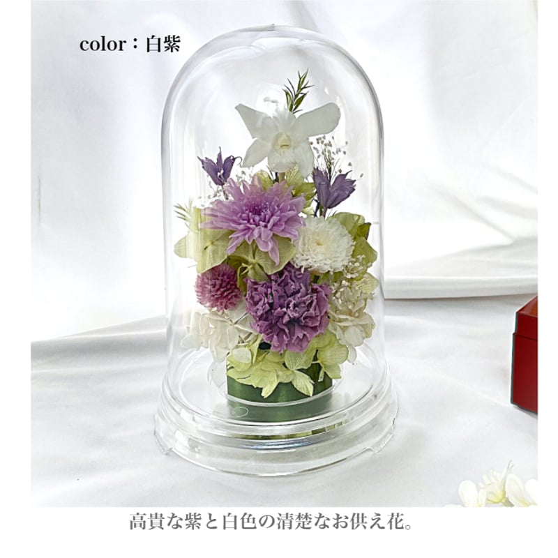 盆花 プリザーブドフラワーお供え花ドーム 初盆 蓮入り 新仏・初七日