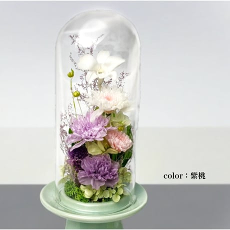 プリザーブドフラワーお供え花ガラスドーム　清蘭~優ゆう～初盆 御供 新仏 四十九日 命日 法事 法要 回忌 お彼岸 新盆 旧盆  初盆 和菊