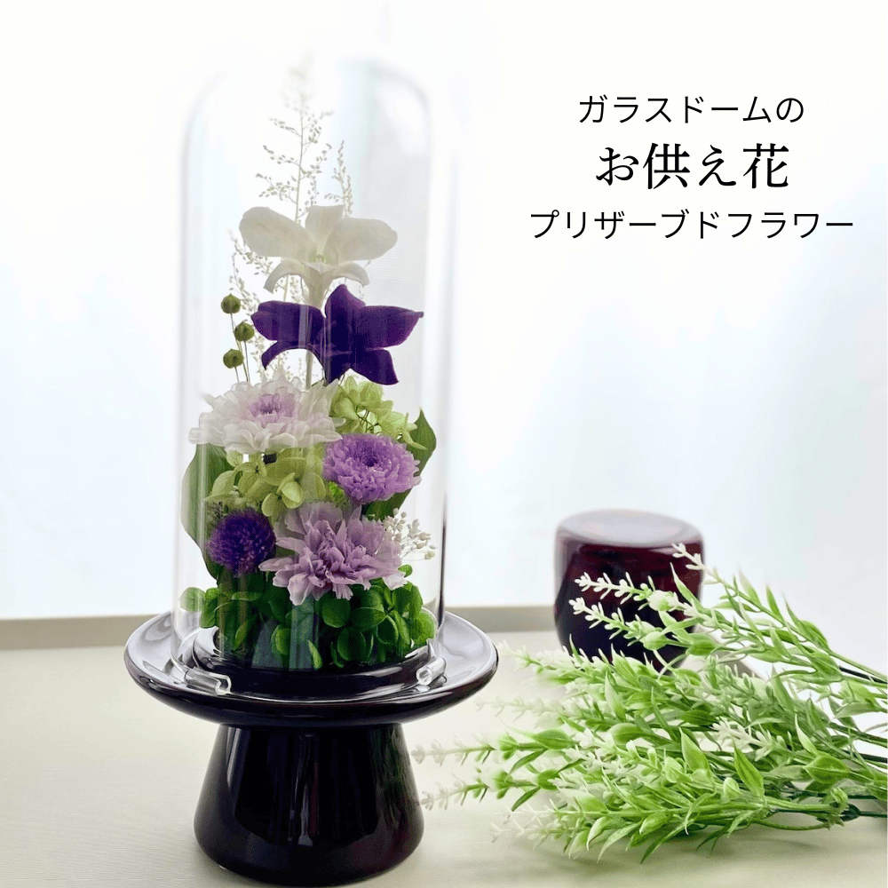 プリザーブドフラワーお供え花ガラスドーム 清蘭~菫すみれ~ 御供 新仏