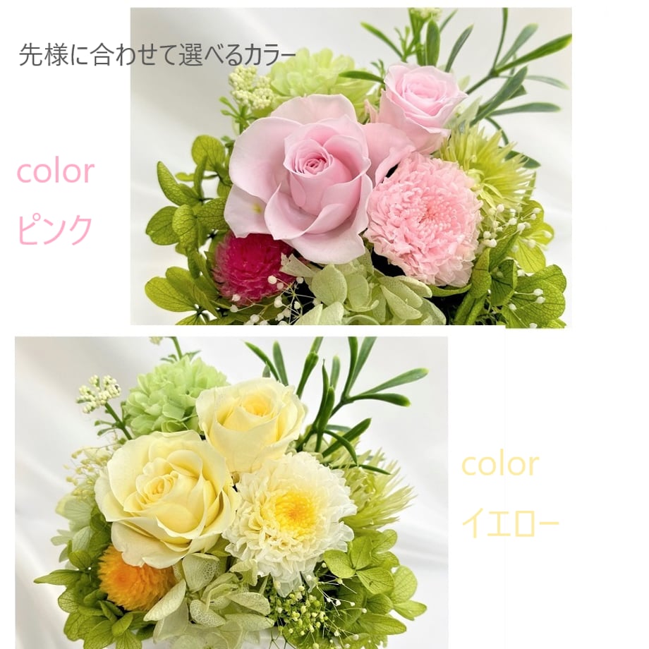 61c6db36d26fa53fe00c134c