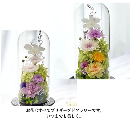 プリザーブドフラワーお供え花ガラスドーム　清蘭~想香そうか~ 御供 新仏 四十九日 命日 法事 法要 回忌 お彼岸 新盆 旧盆  初盆 和菊