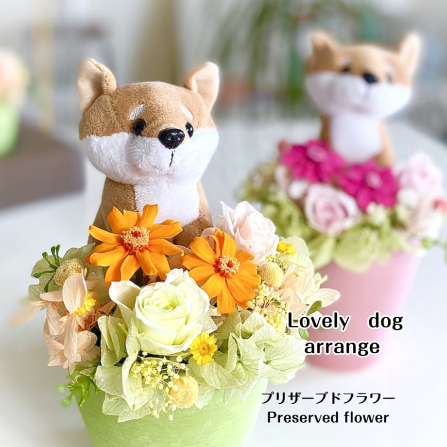 68d100283cea4a108f556186