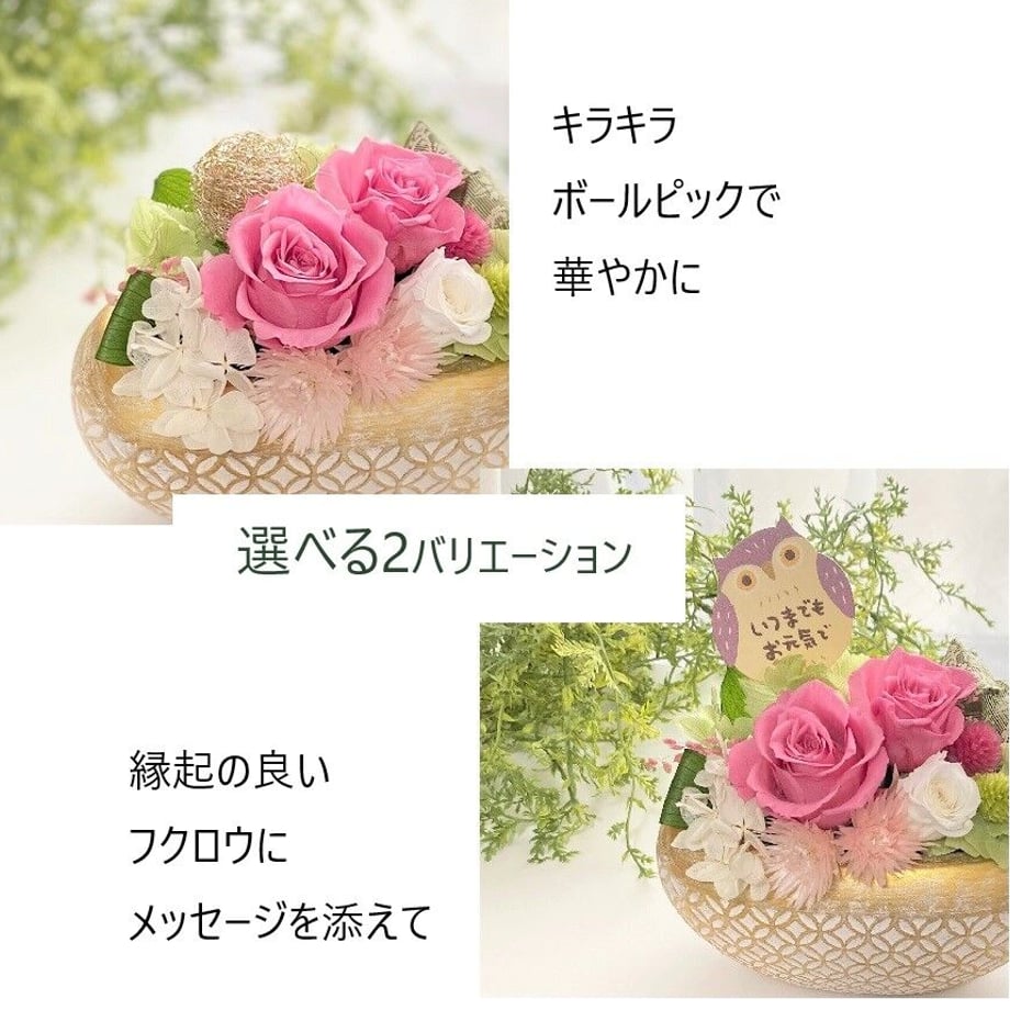 64f2ec96401c310036e6667a