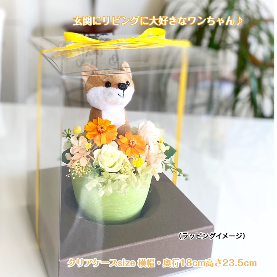 68d100283cea4a108f556186