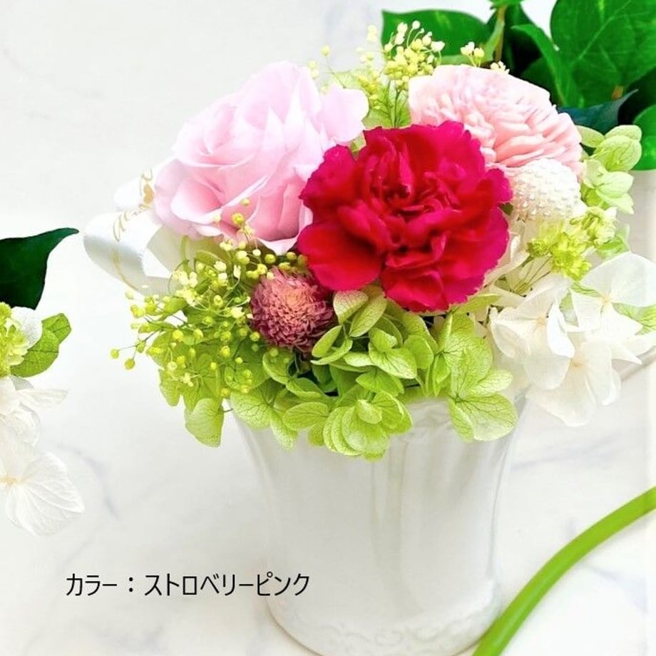 6246dc30a8611353dfac4630