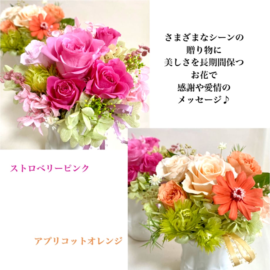 67f61ae8827c02359f754622