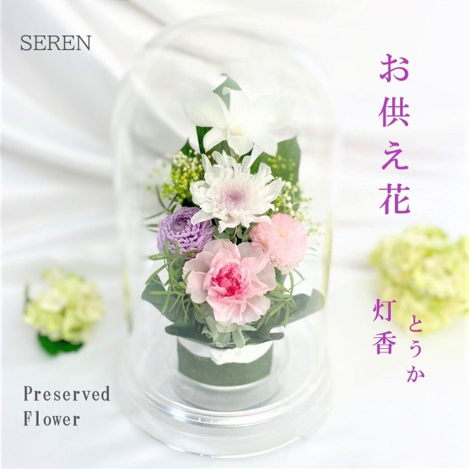 5f043a34ec8fd316b8e27083