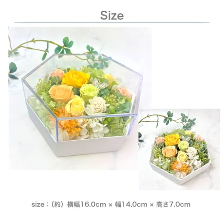 プリザーブドフラワー　クリアボックスYellowℳ 記念日 お誕生日 結婚出産祝い 開店祝い 開業祝い  就職祝い お見舞い 送別 退職 定年 敬老の日  インテリア 癒し花 幸運 六角形