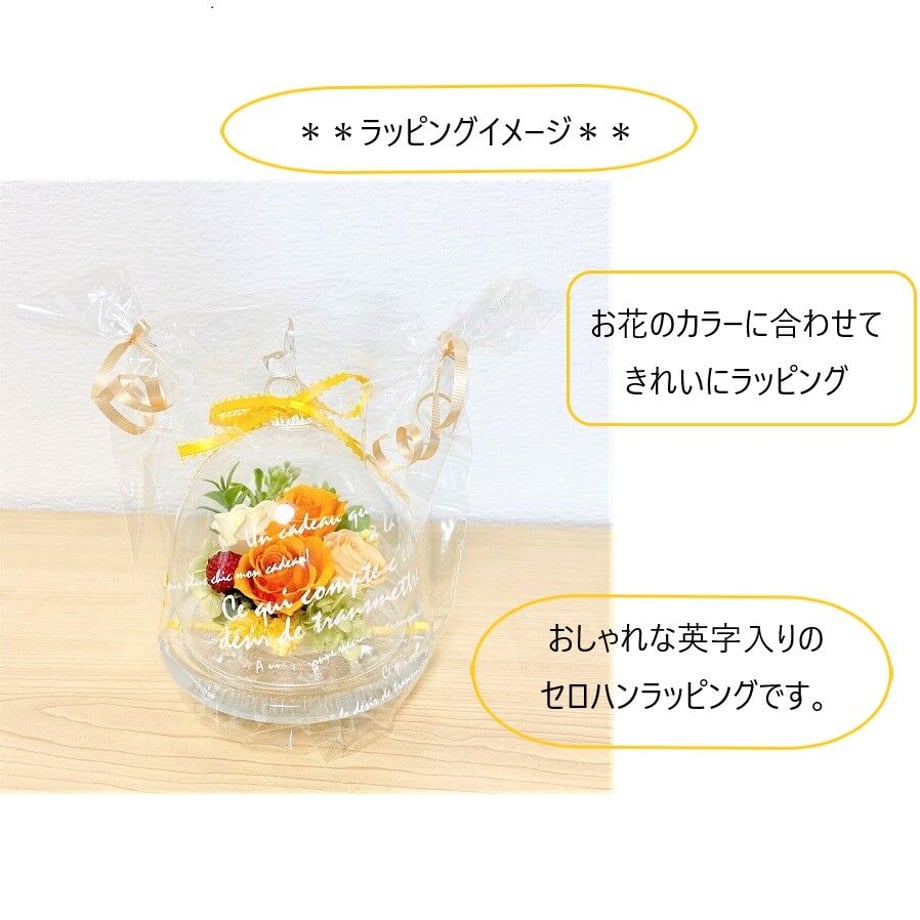 63cdedf97875037eb8b460ec