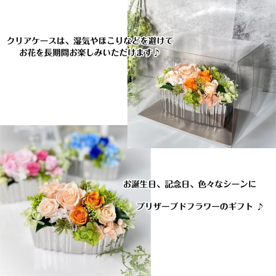 67f0a24624b81920b0826edd