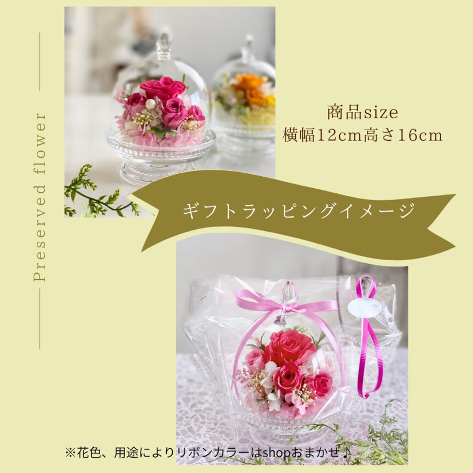69d34fffc3470259c608f38f
