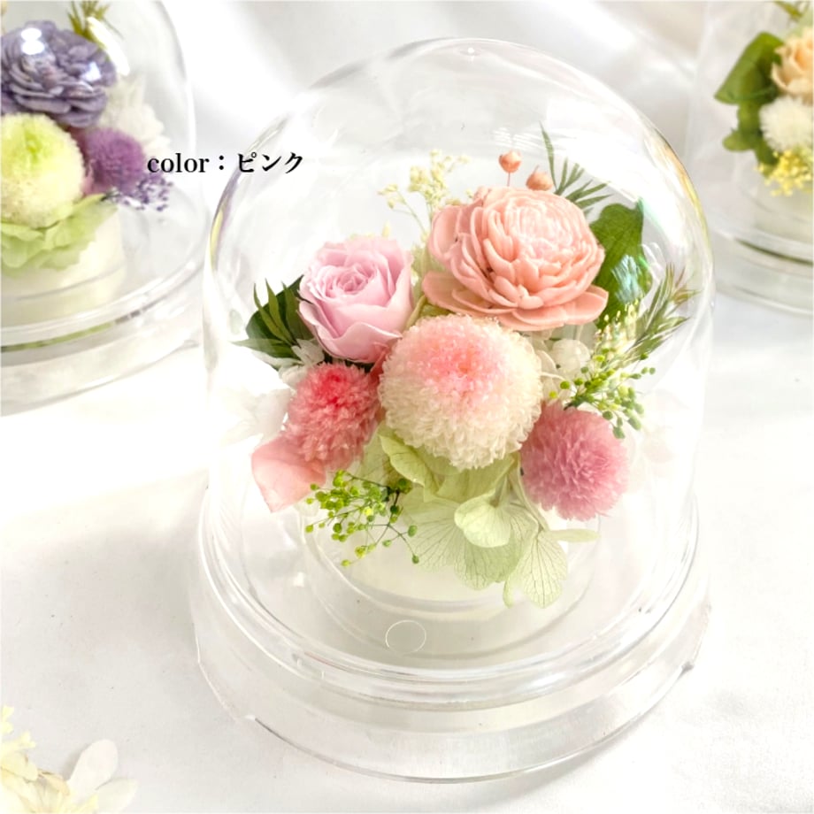 65cf24529cdd8515e6017b2c