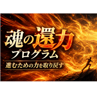 魂の還力プログラム（通常版）