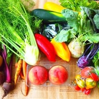 栄養カウンセリング 〜 体質改善のための栄養・食事療法をご提案