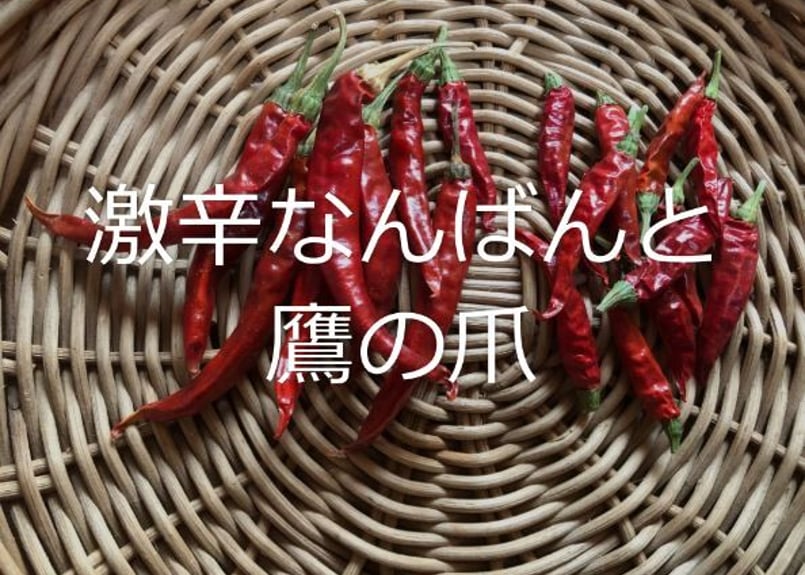 激辛なんばんの種 30粒 | 体にじわっとパワフル野菜 北の樹木農園