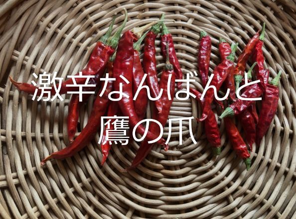 激辛なんばんの種 30粒 | 体にじわっとパワフル野菜 北の樹木農園