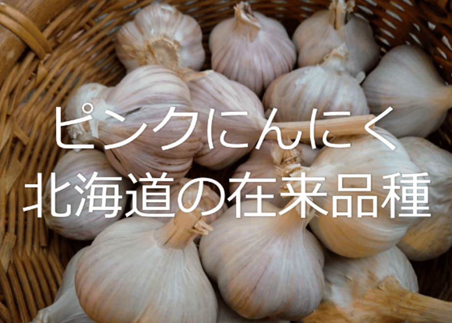 5f0bd415ec8fd36c5d44a0c7