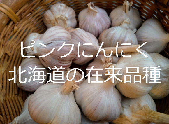 新ピンクにんにくLサイズ10こ 農薬・化学肥料・動物性肥料未使用 ...