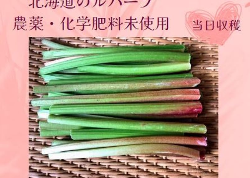 緑のルバーブ 約700g 農薬・化学肥料未使用 北海道産 | 体にじわっと  