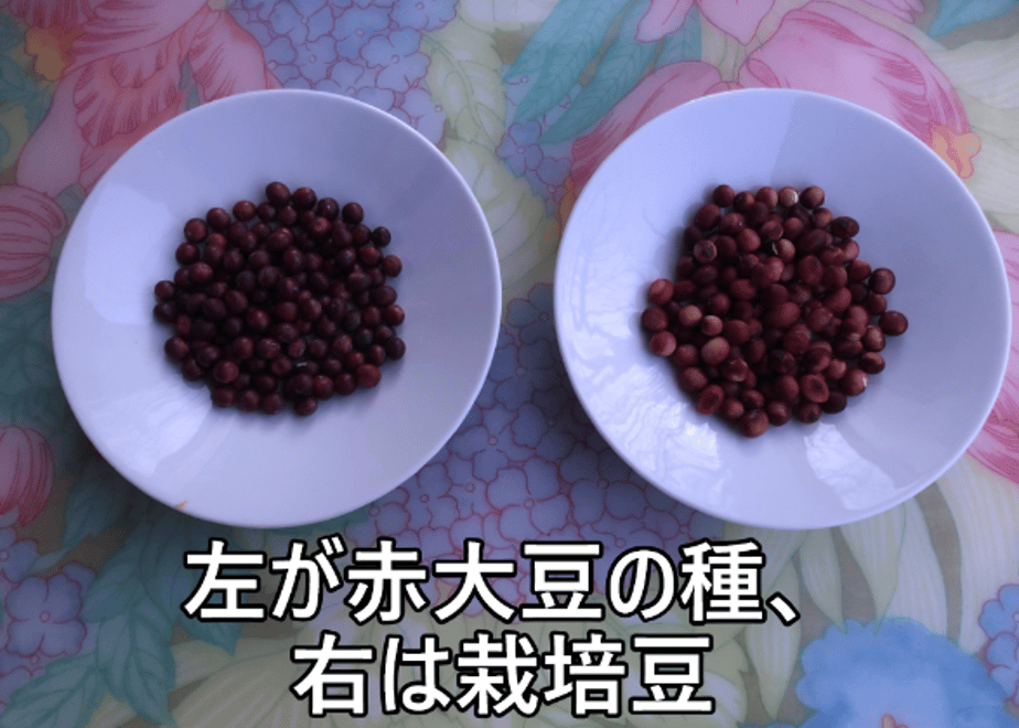 61bc36a07d278d663d74a985