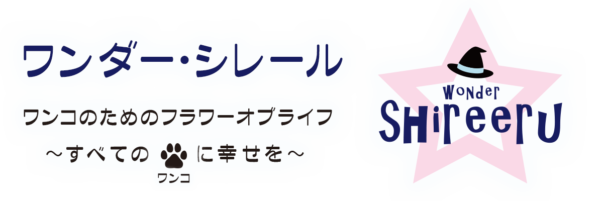 ワンダーシレール